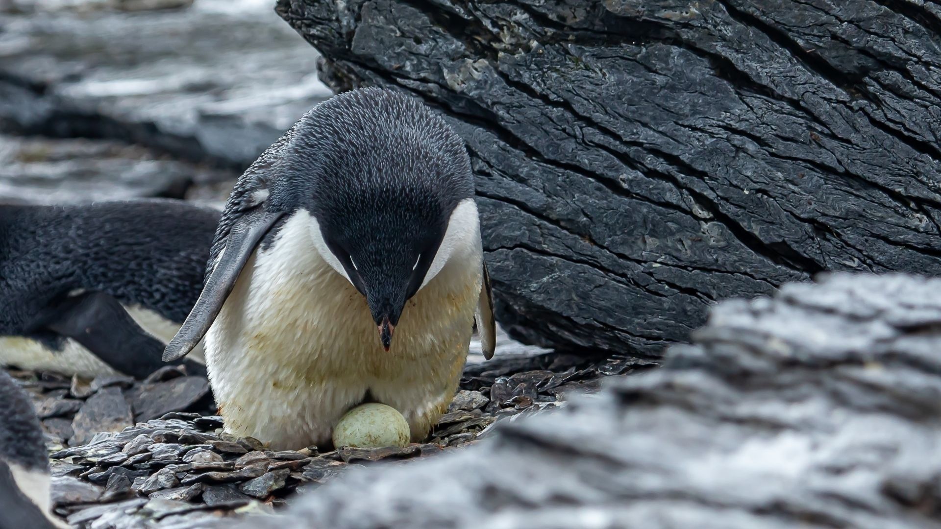 d2c7fecde1826aa7430ae8330e886df5e3d61a2c