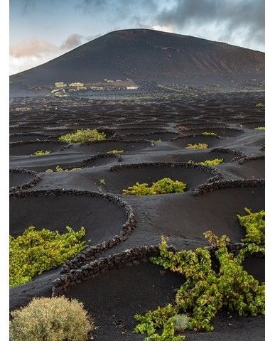 d41ab9882f025fb32b99180ba964425665e26b10