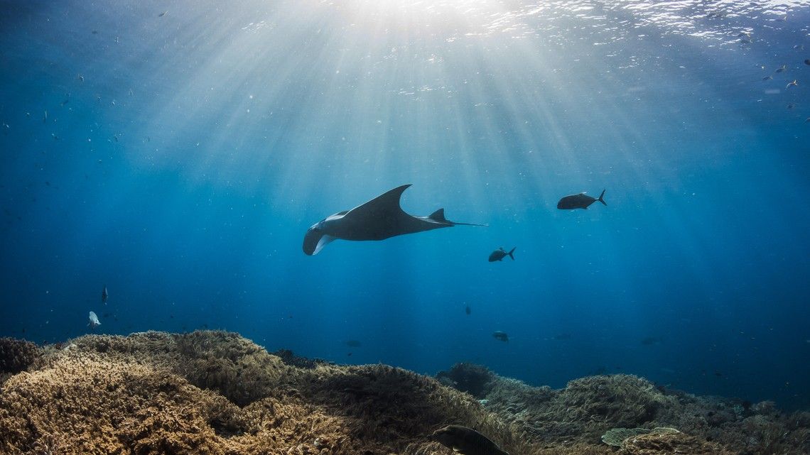 d7f1f9431901873132d251ab73a3689c7999a300