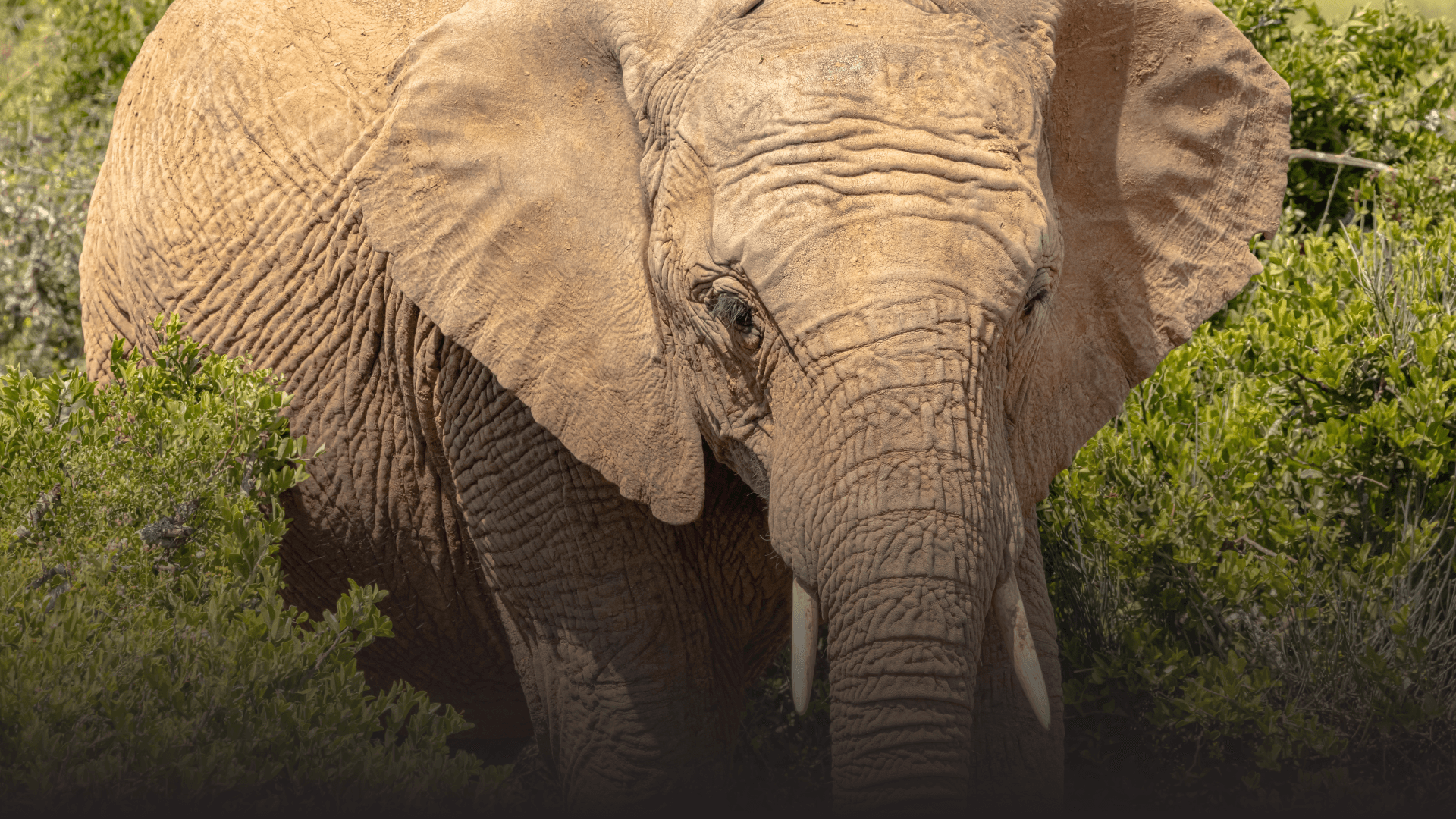 d837ec3ab25939640047ae426cc1e60d9e3a65db