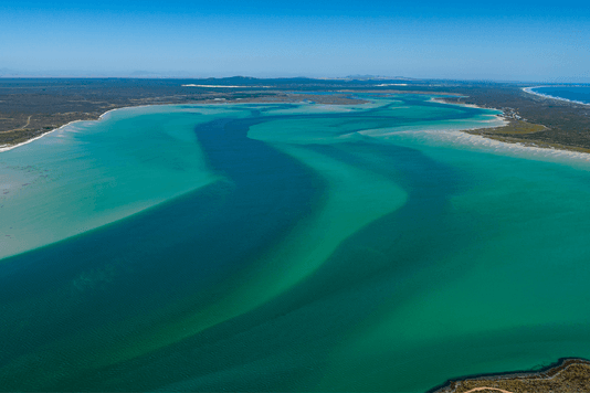 d962ec1b462c7c6b02e6222e75e85bc2b941f7e3