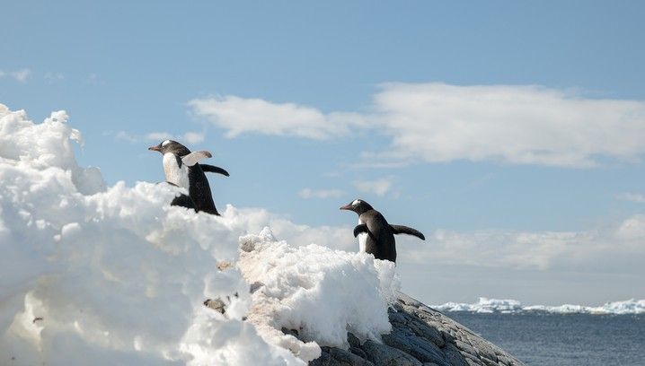 Antarctic Peninsula Discovery