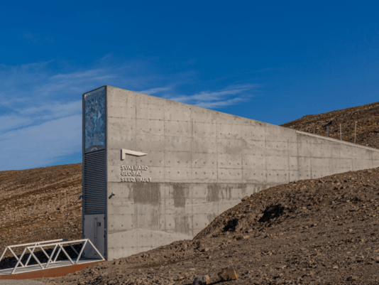 d9c5158d4f82d69f8a06edc58847ca1dc25da00d