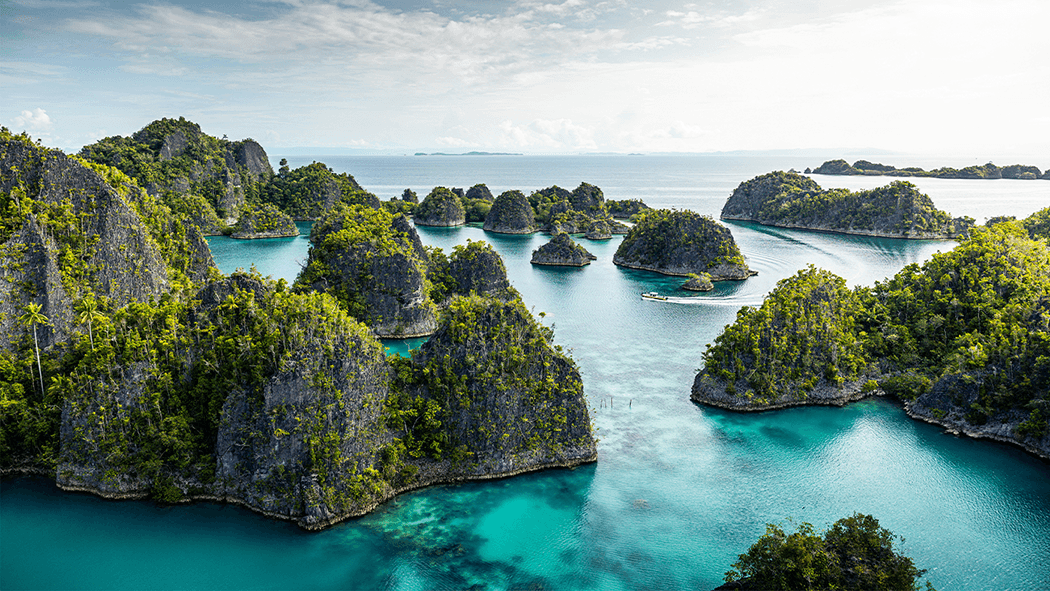 Raja Ampat and Philippines cruise: the Last Paradise on Earth