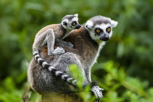 e2c3521ebc125dbe4c1e9f4ad16d55d4ef5c721e