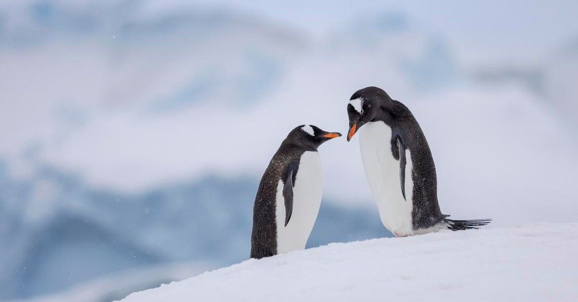 e5f440aa789928b7611371e3240f9f50f619d761