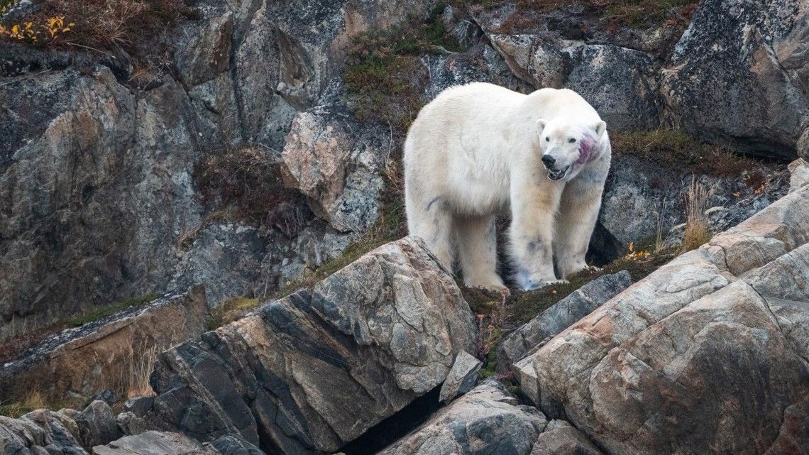 e75e3de2cff95b5dfa138c049584f4a1ca813530