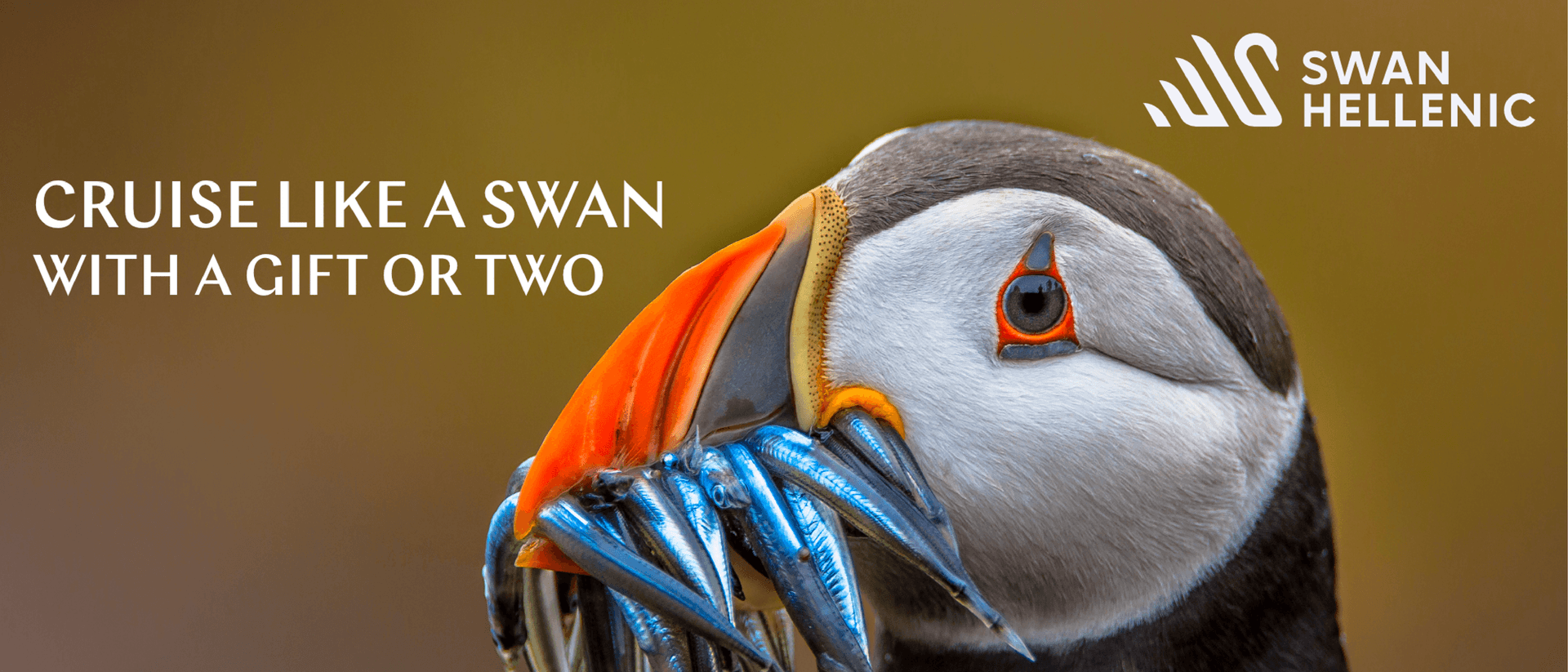 e79d3e19def690c56b8de7b606a7aa5c1de30d33