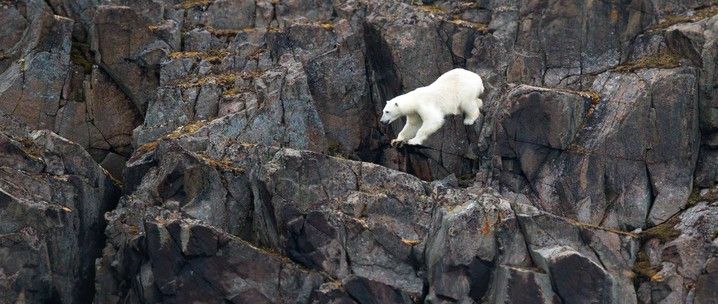 High Arctic of Svalbard