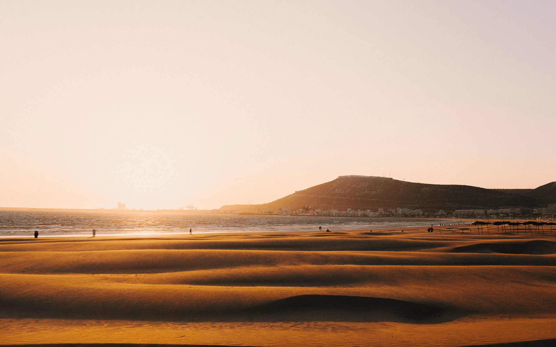 ee2f5ba67f02c932daabe811ac4dcca2ddd5cdcd