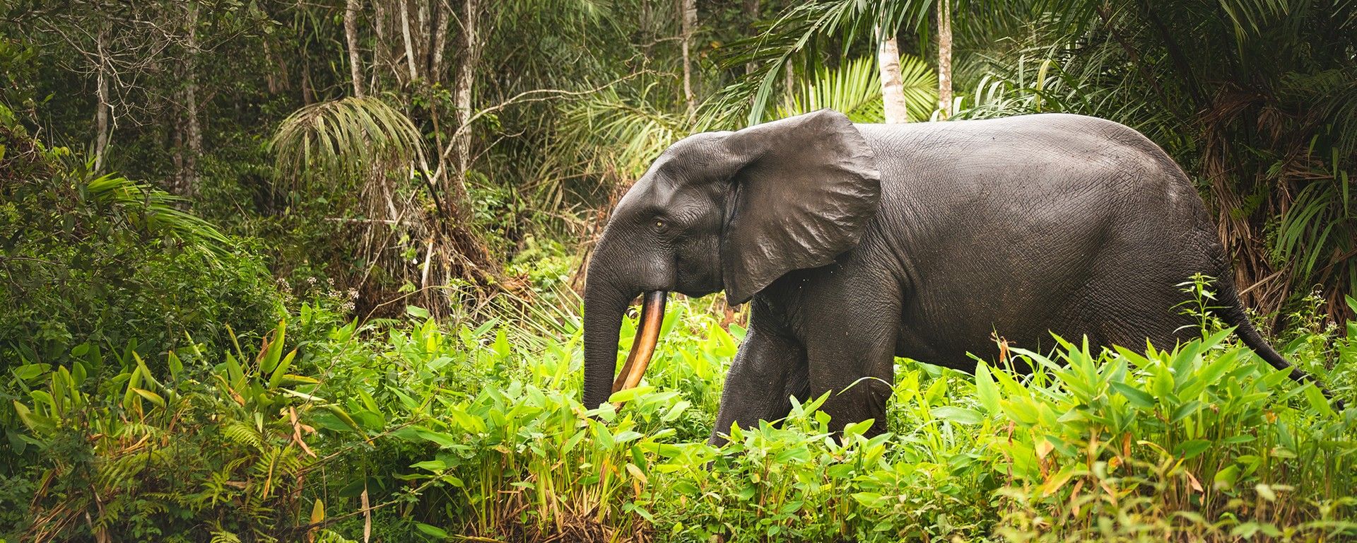Unspoilt Wilds of Southwest Africa