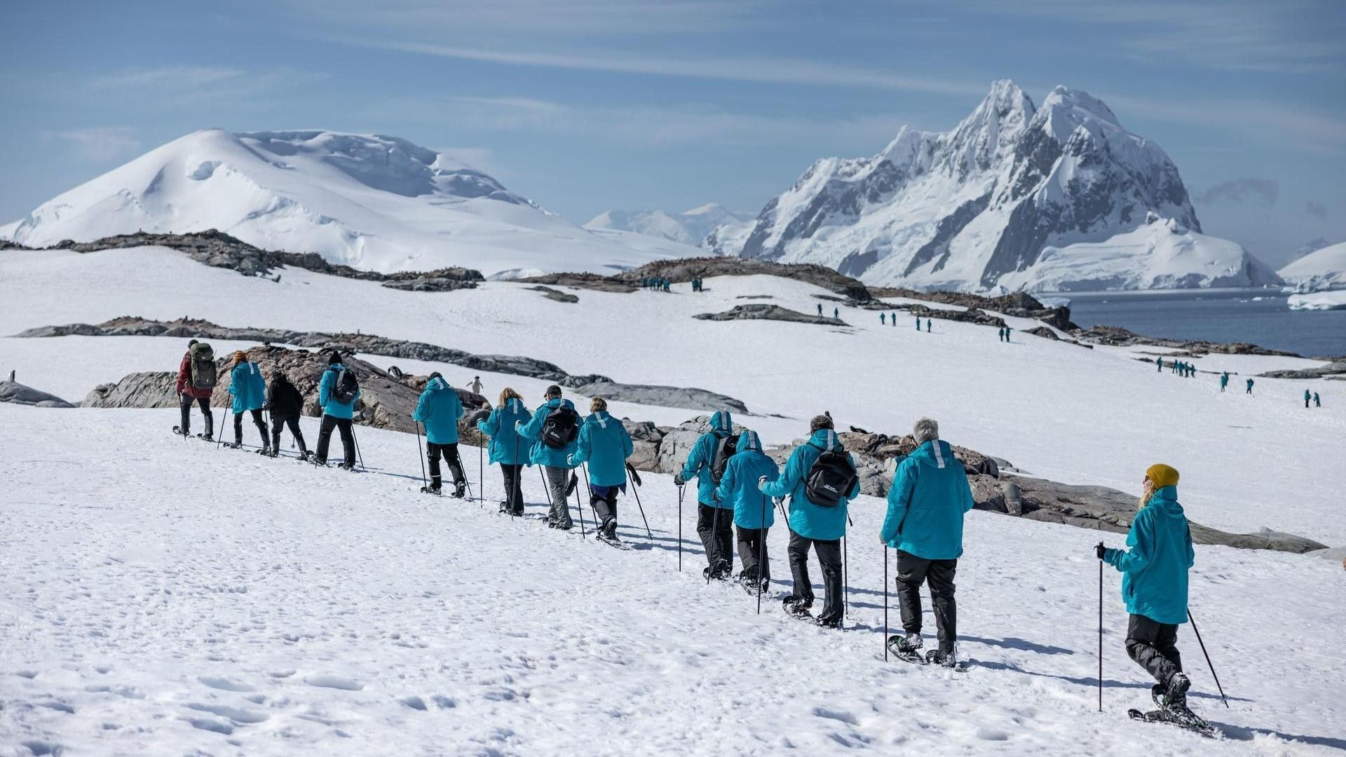 ef0a1b97e4ea658ddd15a629384a5ffe316f8658