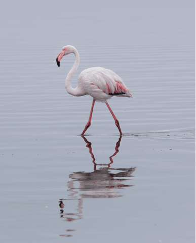 f184c337b4edb551a276c7f16fd1a4ad3b503b56