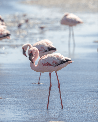 f277ec9ee1cd3f800ec70370fc3ab972f263717f