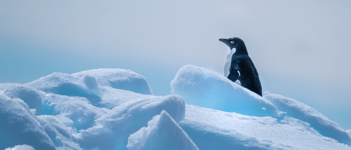 f543d3b6649543e3331cfe46a0490cab23e8e2f7