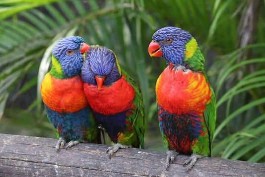 f70216e0d3e679a0438e66f2991e3575966de297