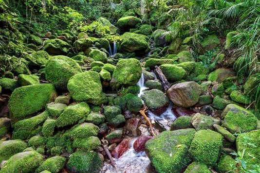 f81f70258d05b367c337258ee392889460cfbd5d