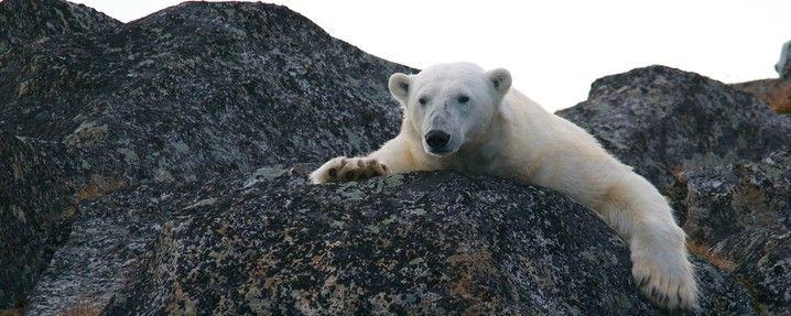 Svalbard Explored