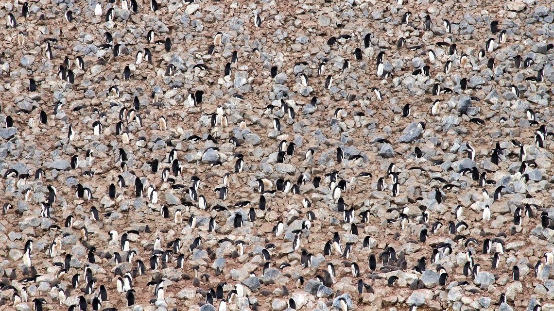 f9829c243749469fca3ad165bde4e203f7b31fce