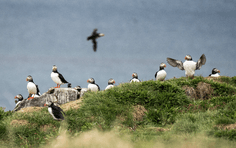 fa771faee072bef41c80f9eeafb4799aaf04df4a