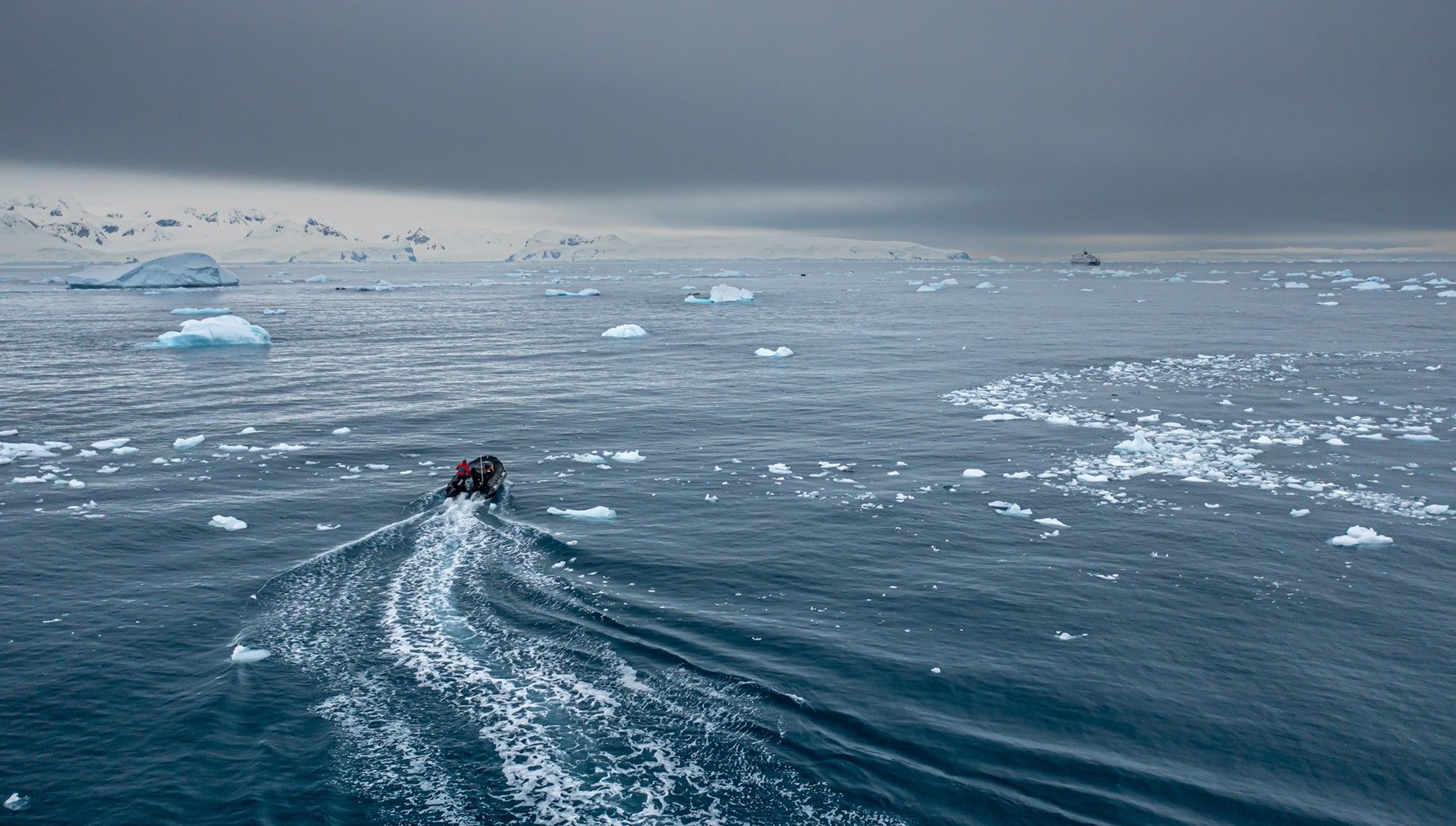Weddell Sea Discovery