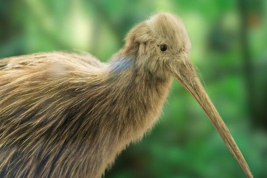 febff7293c2fa2081951c5b23fe7b7ae1928c3af