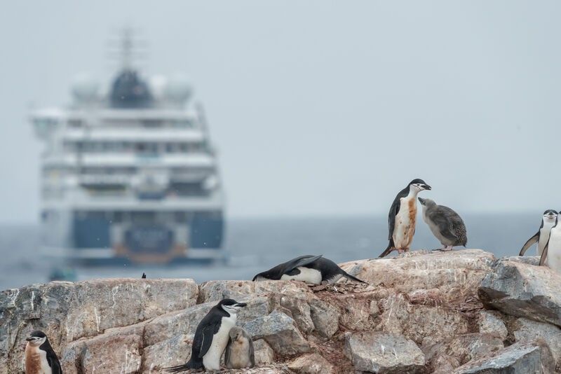 fef05a949657b2b635de763fa247057716395ea3