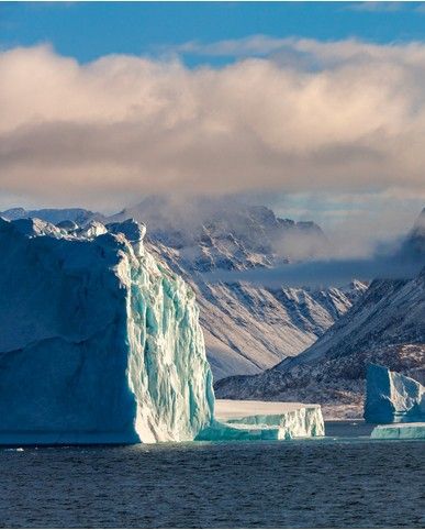 Arctic